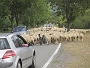 0378 IMG_2152.JPGLumbier