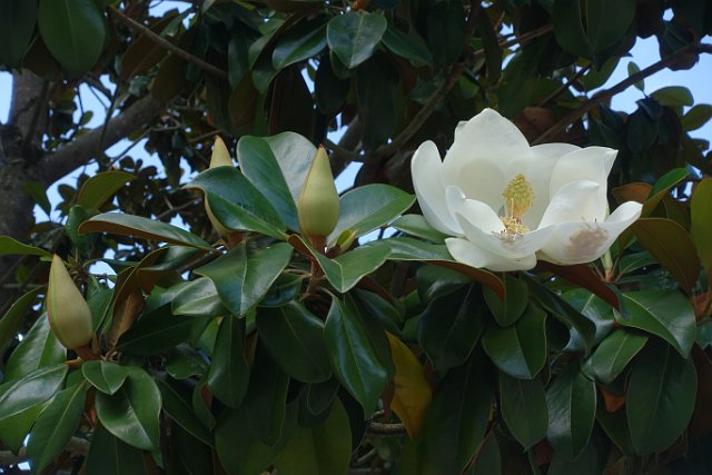 0457 DSC03625.JPGLa Romieu.JPG