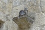 0471 DSC03652.JPGLa Romieu