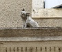 0472 DSC03581-.jpgLa Romieu