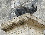 0474 DSC03587.JPGLa Romieu