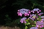 0488 DSC03703.JPGLa Romieu