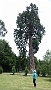 0524 DSC03780.JPGBonnac la Cote