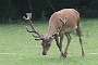 0529 IMG_6875.JPGBonnac la Cote