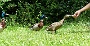 0548 DSC03813-.jpgClamecy
