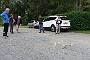 0557 DSC03825.JPGEtreaupont