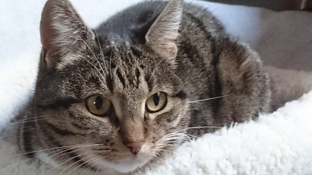 026-2017-04-26 09.00.16.jpg