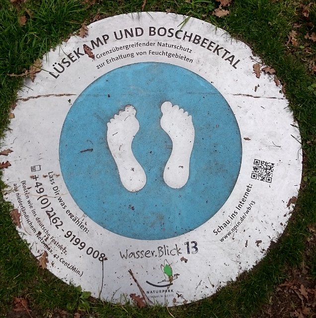 029-2017-04-29 13.33.54-2.jpg