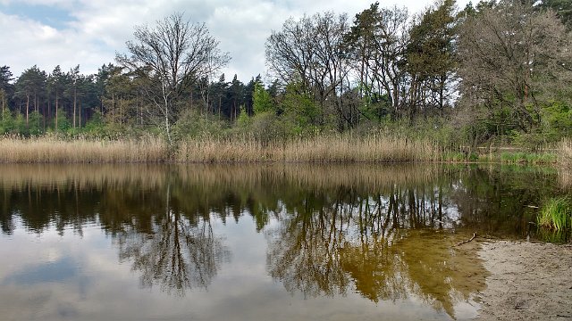 031-2017-04-29 13.44.00.jpg