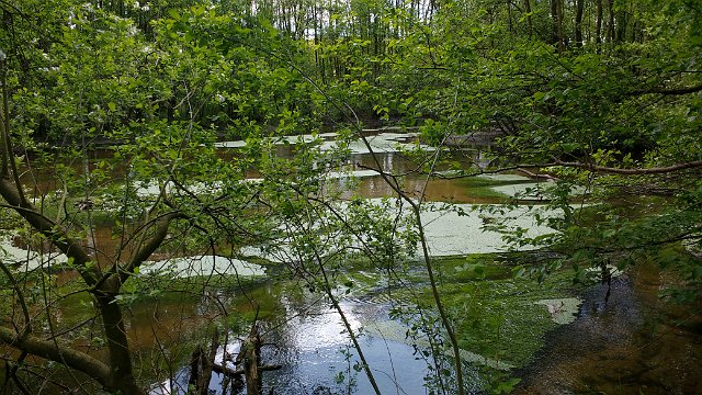 100-2017-05-09 13.12.35-2.jpg
