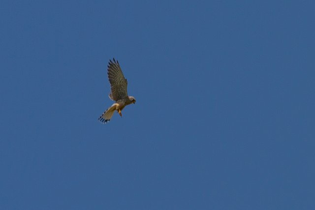 122-IMG_9745-2.jpg