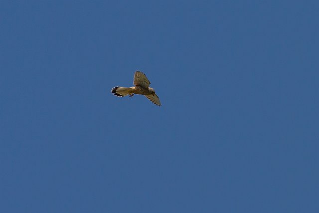 123-IMG_9746-2.jpg