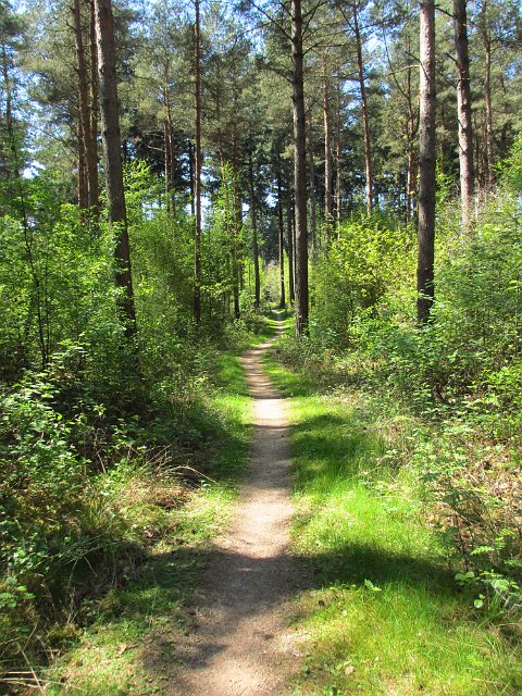 125-IMG_2534.JPG