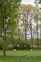 041-IMG_9635-2