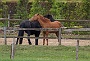 043-IMG_9639-2