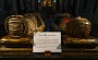 076-DSC05590-2