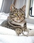 096-DSC05673-2