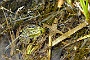 098-DSC05678-2