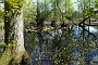 107-DSC05695-2