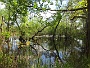 108-IMG_2526