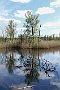 109-DSC05698-2