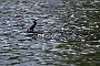 116-IMG_9735-2