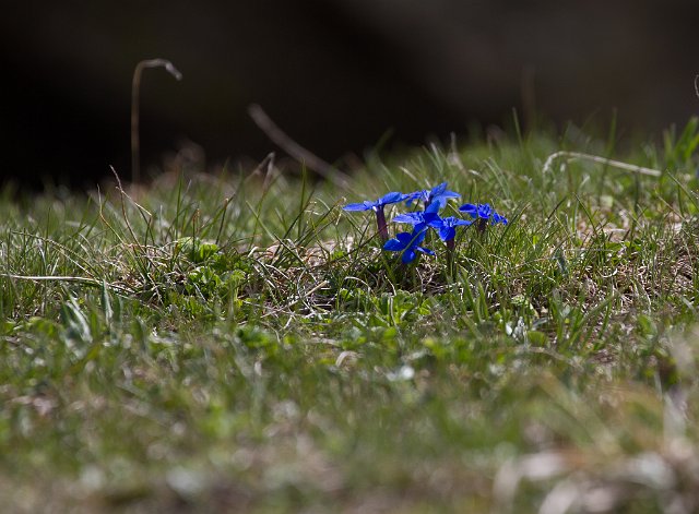 133  Etroubles-Aosta-Bernardo IMG_0041-2.jpg.jpg