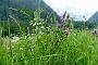 084  Etroubles-Aosta-Bernardo DSC05982-2.jpg