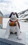 136  Etroubles-Aosta-Bernardo DSC06157-2.jpg
