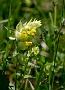 140  Etroubles-Aosta-Bernardo IMG_0072-2.jpg
