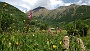 142  Etroubles-Aosta-Bernardo 2017-06-04 13.36.16.jpg