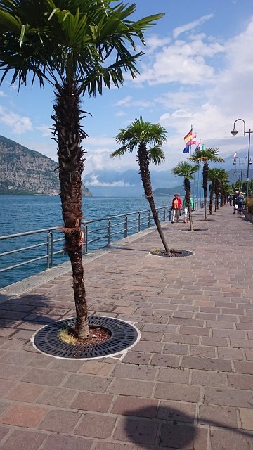 152  Iseo 2017-06-06 12.12.44.jpg.jpg