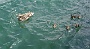 155  Iseo DSC06206.jpg