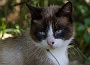 175  Iseo IMG_0144-2.jpg