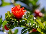 180  Iseo IMG_0152-2.jpg