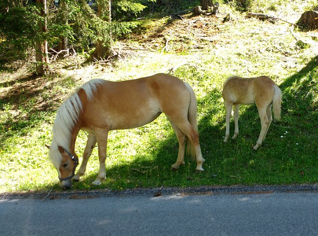292  Stams Tirol 2017-06-18 10.31.52.jpg.jpg