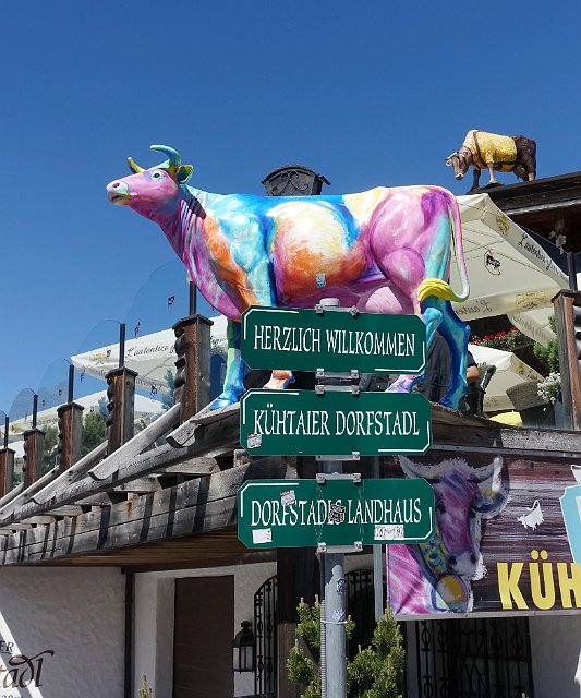 294  Stams Tirol DSC06646.jpg.jpg