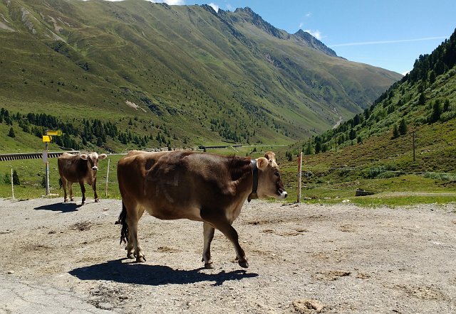 295  Stams Tirol 2017-06-18 11.45.59.jpg.jpg