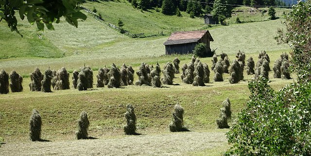 299  Stams Tirol DSC06664.jpg.jpg