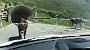 296  Stams Tirol DSC06652.jpg