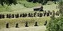 299  Stams Tirol DSC06664.jpg