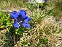 320  Stams Tirol IMG_2636.JPG