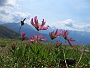 324  Stams Tirol IMG_2647.JPG
