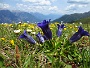 335  Stams Tirol IMG_2669.JPG