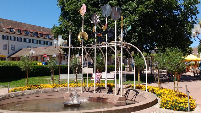 356 Freudenstadt-Langenwald 2017-06-26 13.02.51.jpg.jpg