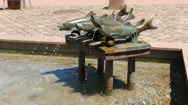 357 Freudenstadt-Langenwald 2017-06-26 13.33.26.jpg.jpg