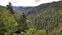 370 Freudenstadt-Langenwald 2017-06-27 13.02.05.jpg