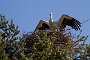 IMG_9802-2