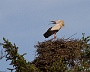 IMG_9844-2