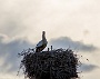 IMG_9855-2-2